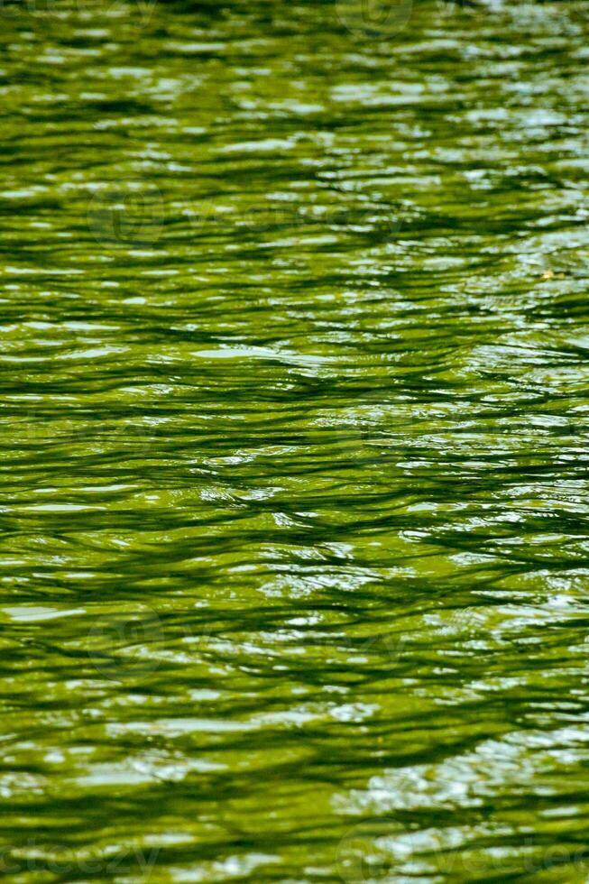 klein Wellen im das Grün Wasser foto