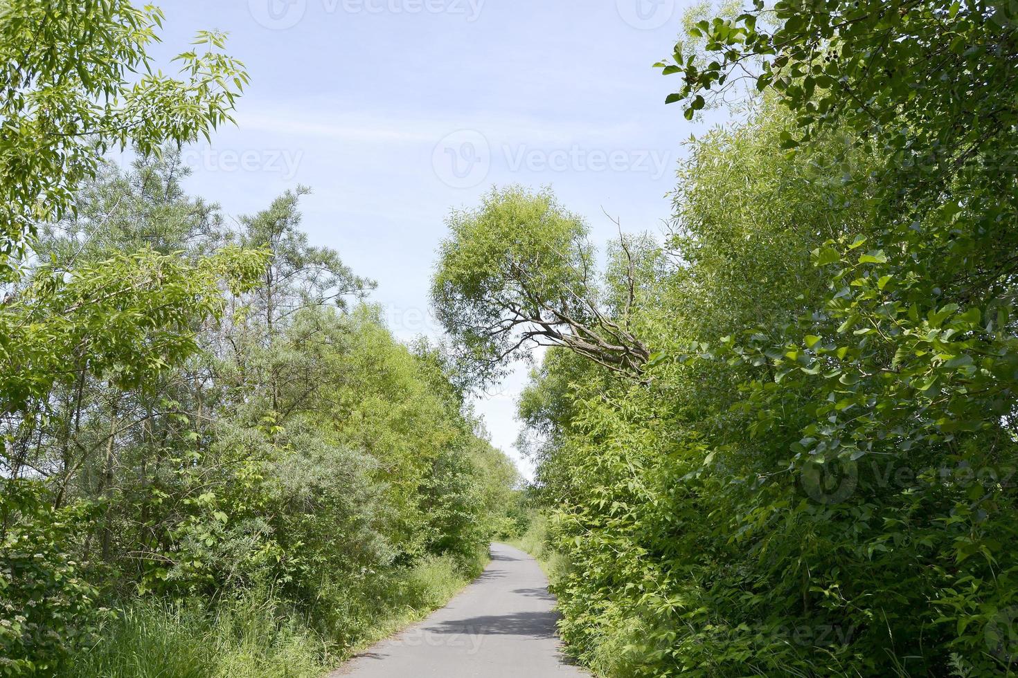 schöne leere Asphaltstraße in der Landschaft auf farbigem Hintergrund foto