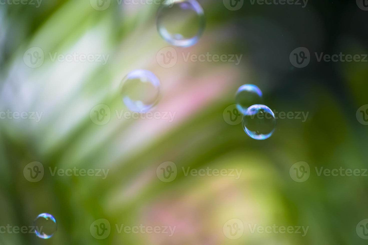 Wasserblasen, die auf grünen Blättern schwimmen und fallen foto