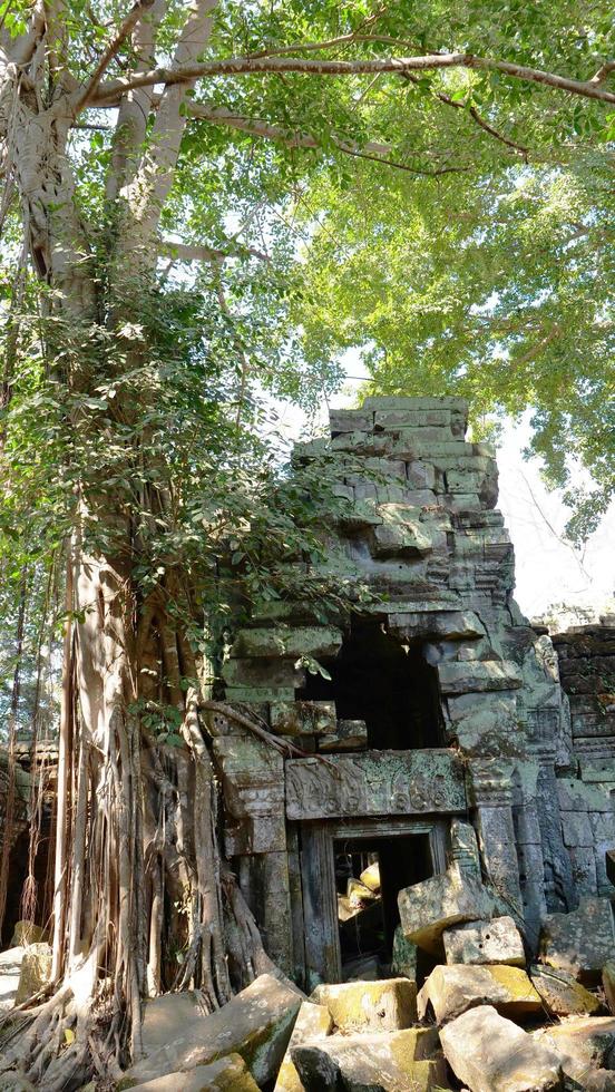 Ta Prohm Tempel im Angkor Wat Komplex, Siem Reap Kambodscha. foto