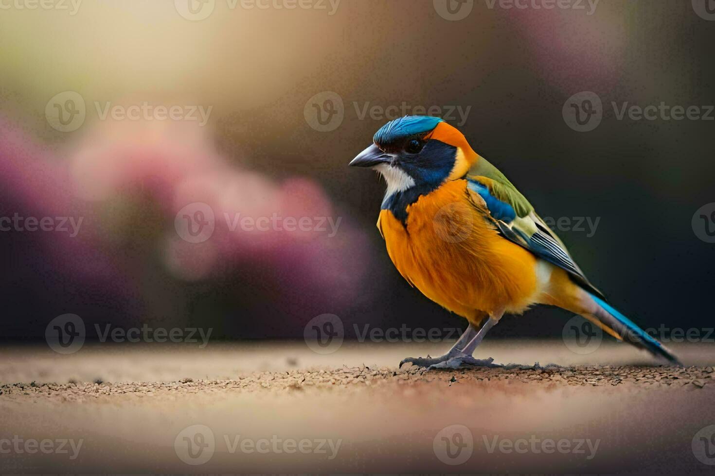 Foto Hintergrund Vogel, das Sonne, das Vogel, das Vogel, das Vogel, das Vogel,. KI-generiert