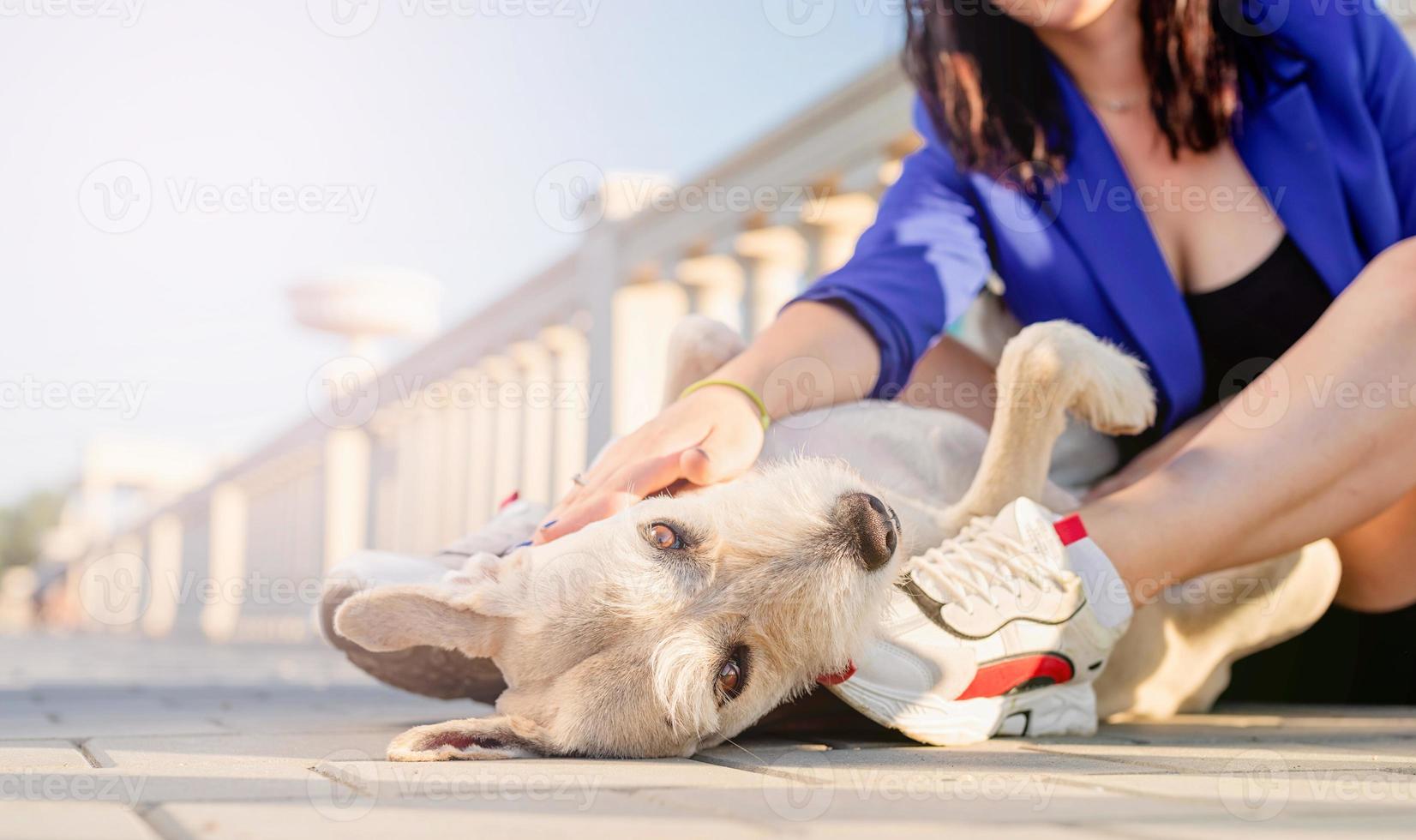 junge Frau spielt mit ihrem Hund im Park foto
