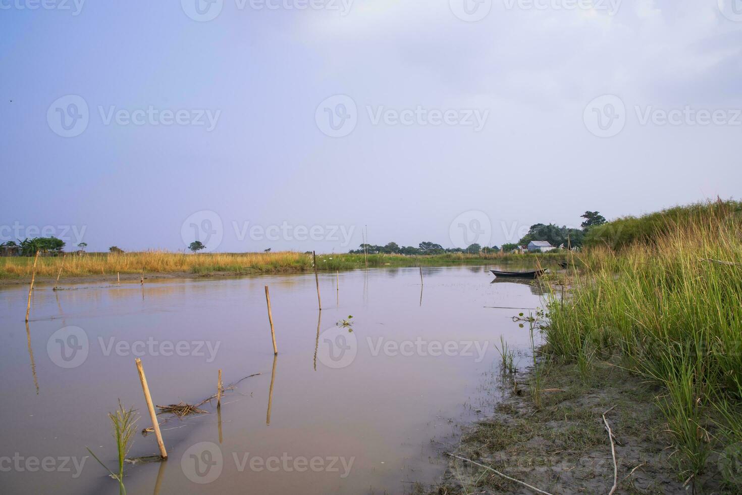 Kanal mit Grün Gras und Vegetation reflektiert im das Wasser in der Nähe von Padma Fluss im Bangladesch foto