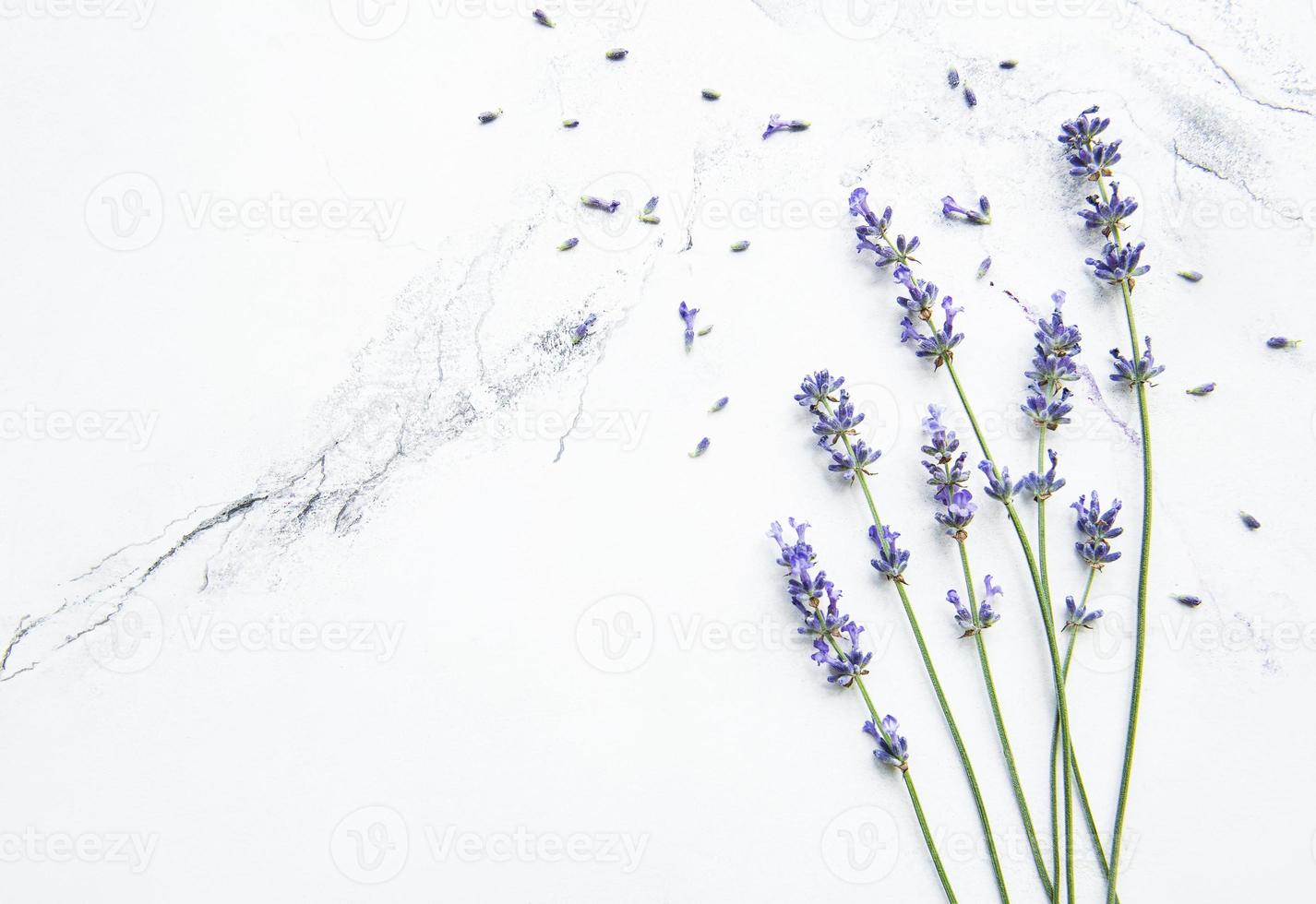 Lavendel auf Marmorhintergrund foto