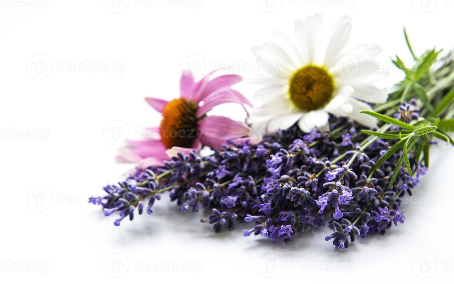 Lavendel-, Echinacea- und Kamillenblüten foto