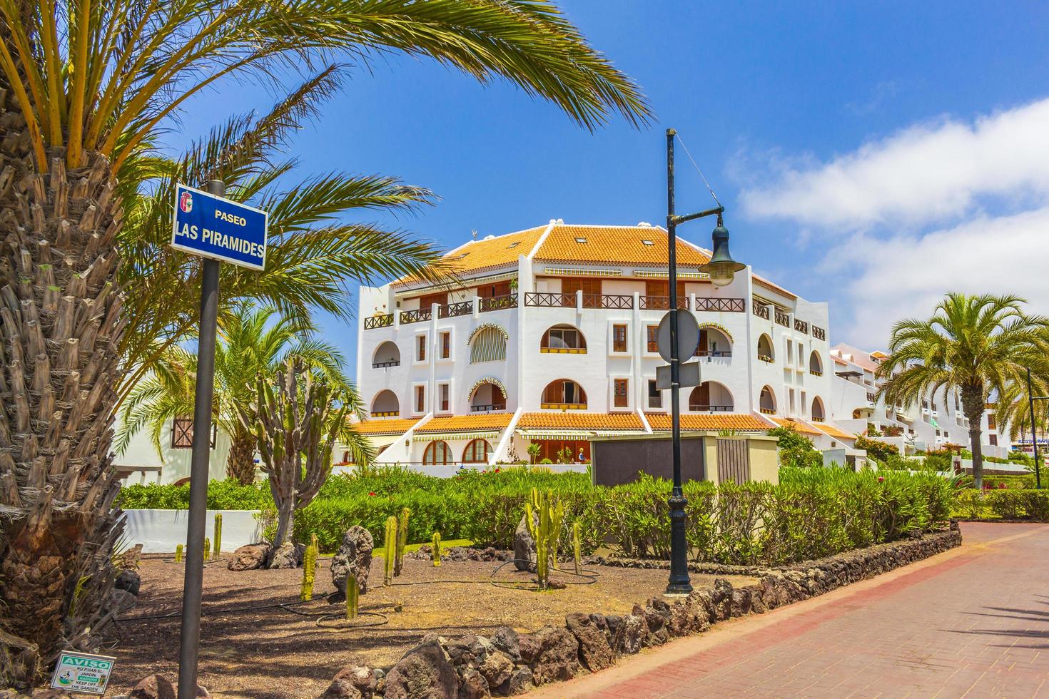 Teneriffa, Spanien 2014- Palmen, Kokospalmen und Resorts auf der spanischen Kanareninsel foto