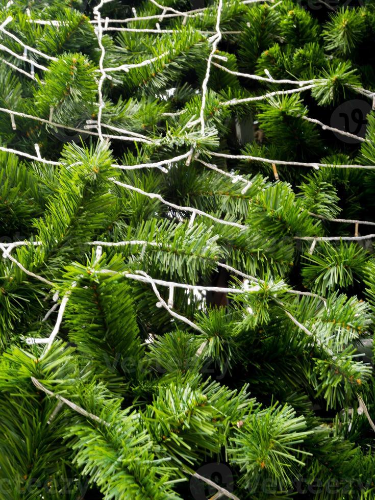 künstliches Laub aus Kunststoff von künstlichem Weihnachtsbaum foto