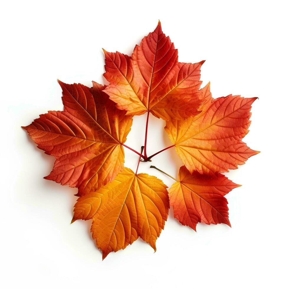 Herbst Blätter auf isoliert Weiß Hintergrund, ai generativ foto