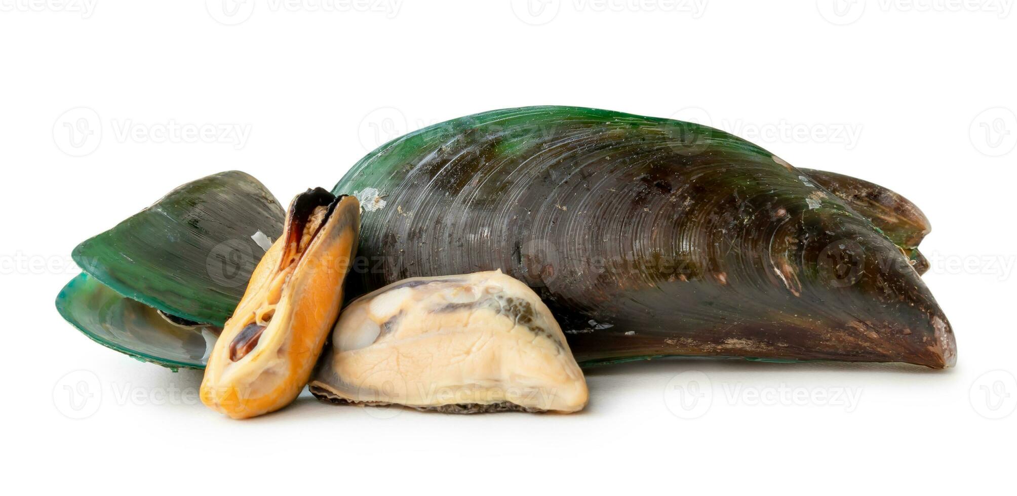 gedämpft oder gekocht Essen von frisch schön Grün Muscheln im Stapel isoliert auf Weiß Hintergrund mit Ausschnitt Pfad foto