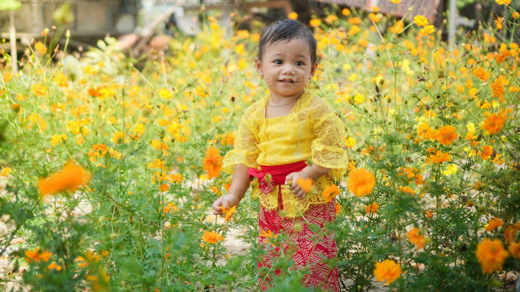 wenig süß Mädchen tragen Gelb balinesisch Kleid spielen im Gelb und Weiß Blume Garten foto