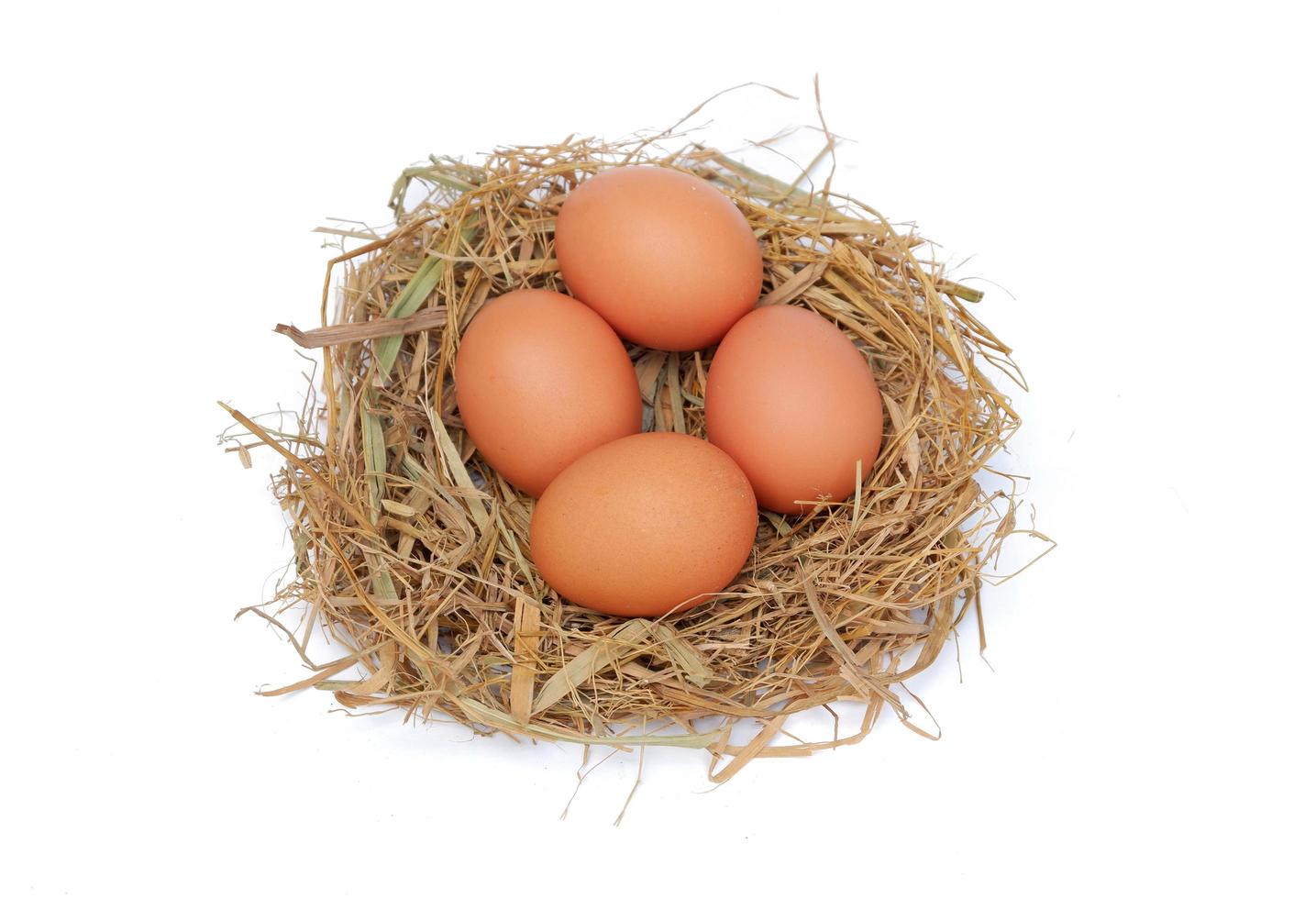 Hühnereier im Nest isoliert auf weißem Hintergrund foto