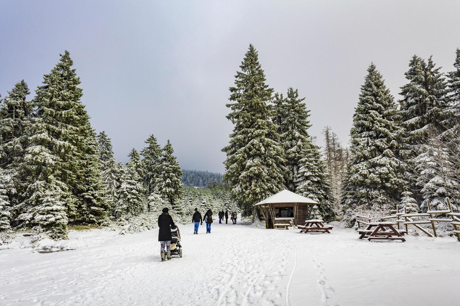 Harz, Deutschland 2014- Wanderer in verschneiter Landschaft foto