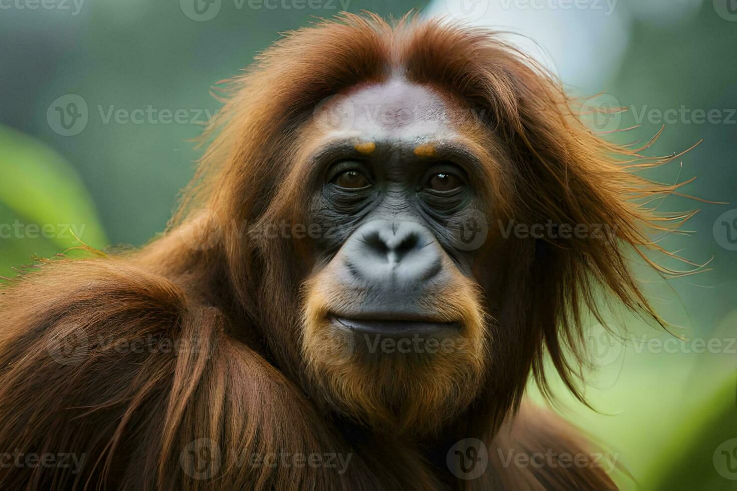 ai generativ von Orang-Utan ist unter das gefährdet Spezies foto