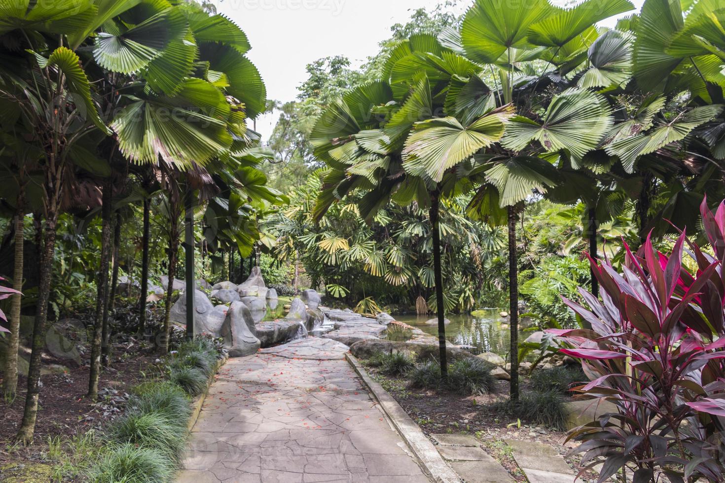 Perfekter und sauberer Park Perdana Botanical Gardens in Kuala Lumpur. foto