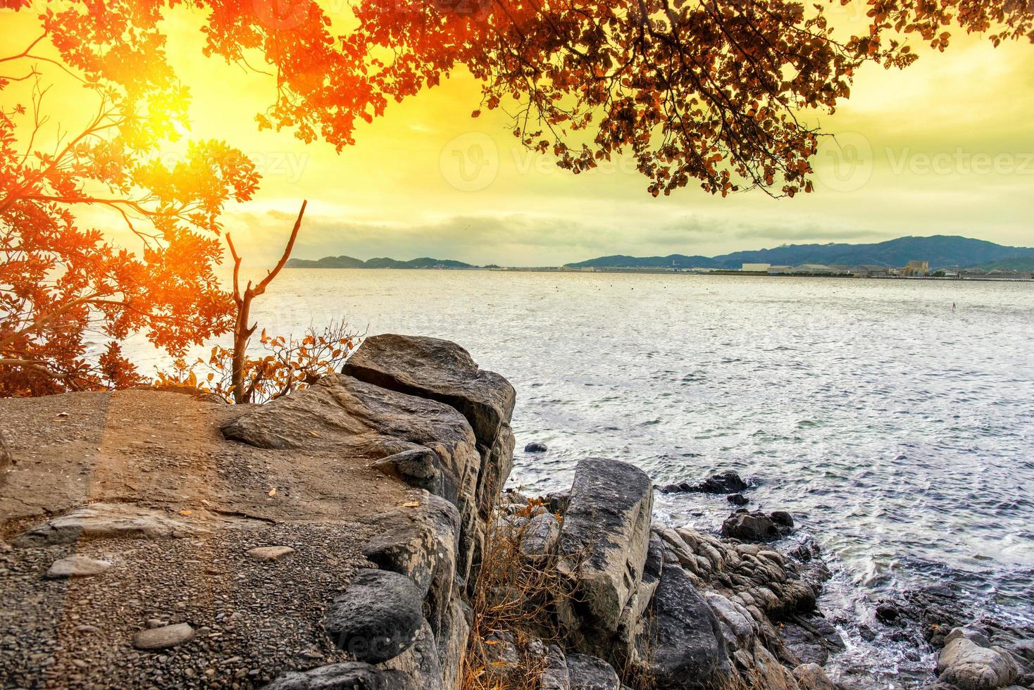 Klippenberg am Meer mit Sonnenlicht foto