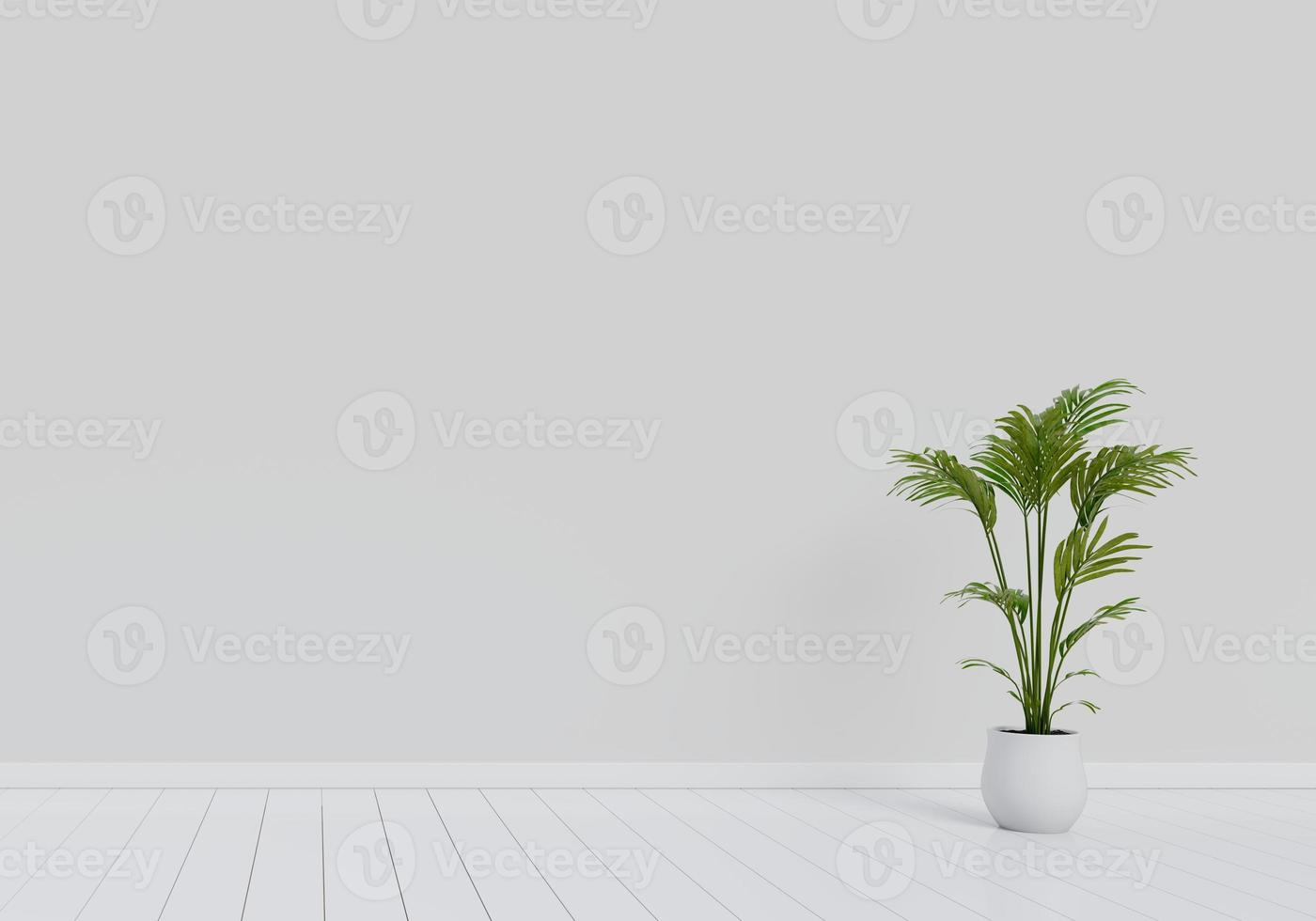 modernes Innendesign des Wohnzimmers mit natürlichem grünem Pflanzentopf foto