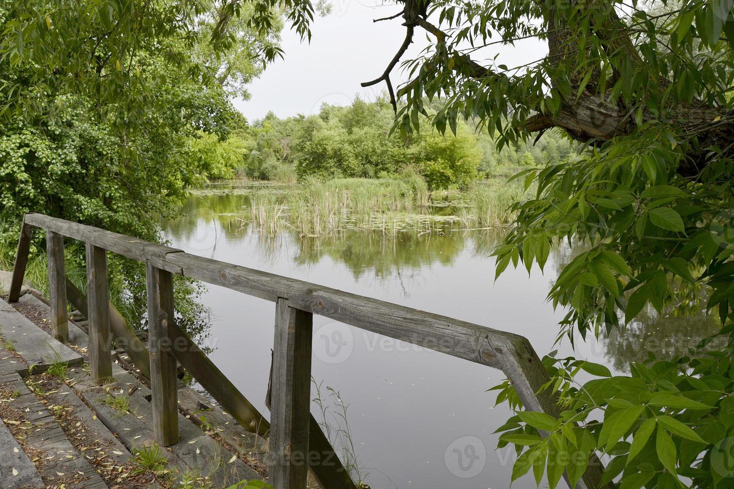 Holzbrücke über den Fluss foto