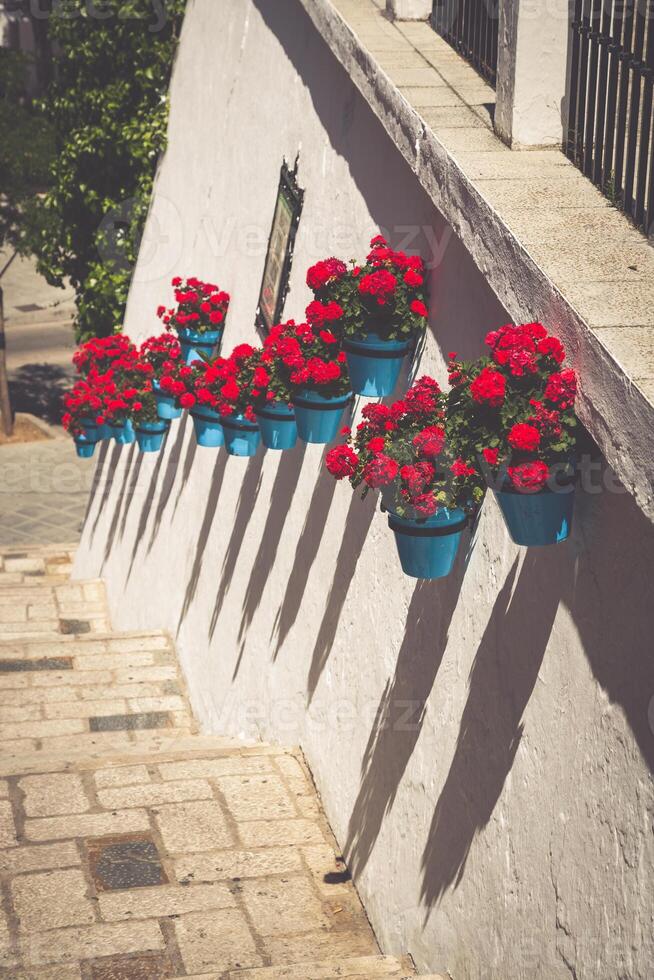 malerisch Straße von Mijas. charmant Weiß Dorf im Andalusien, Costa del Sol. Süd- Spanien foto