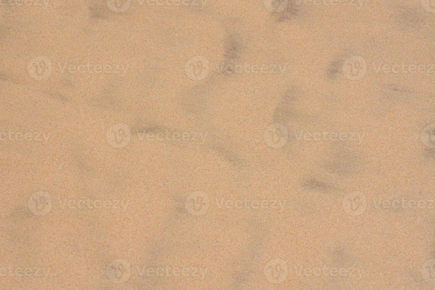 ein schließen oben von ein Sand bedeckt Oberfläche foto