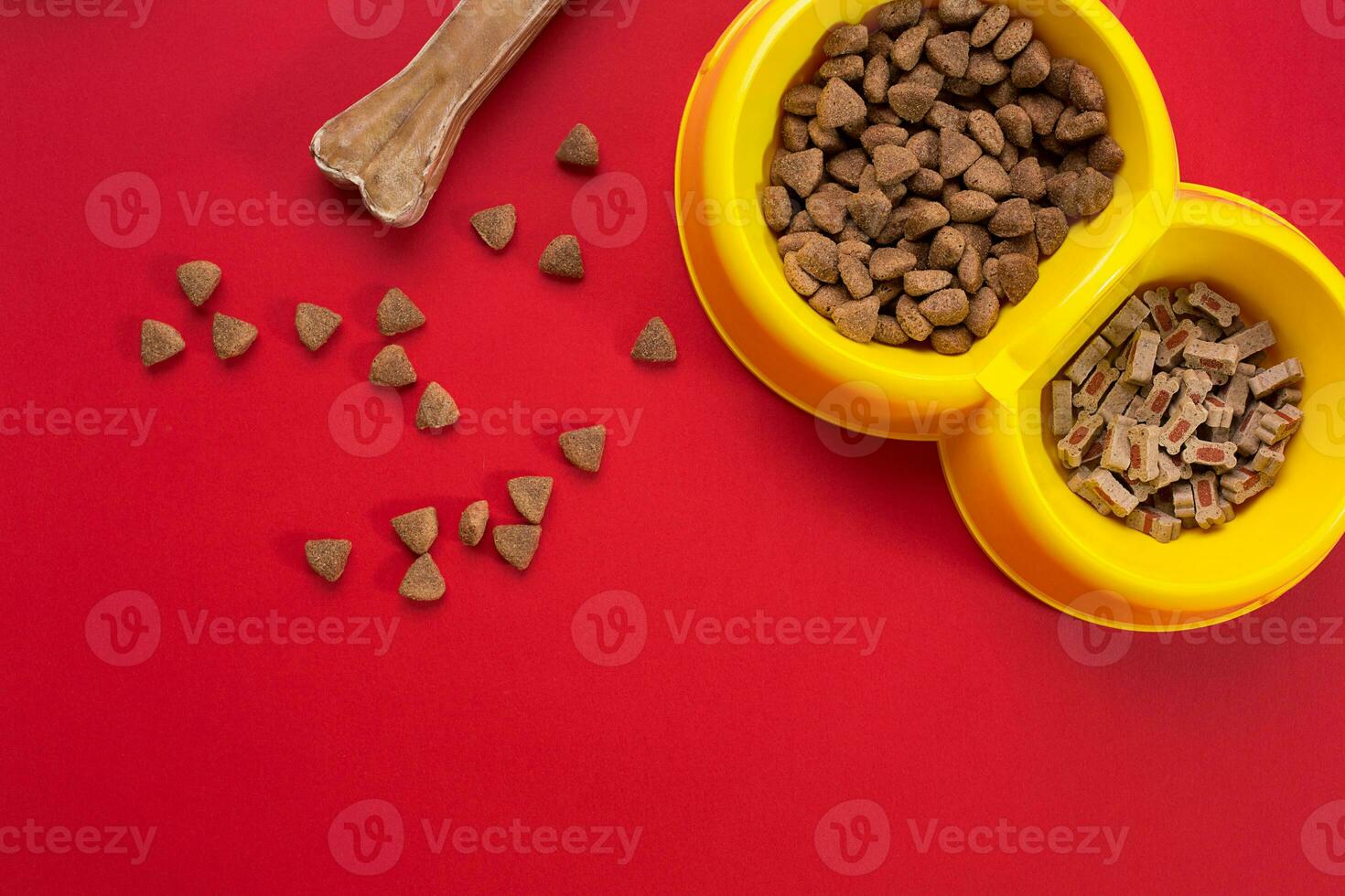 trocken Haustier Essen im Schüssel auf rot Hintergrund oben Aussicht foto