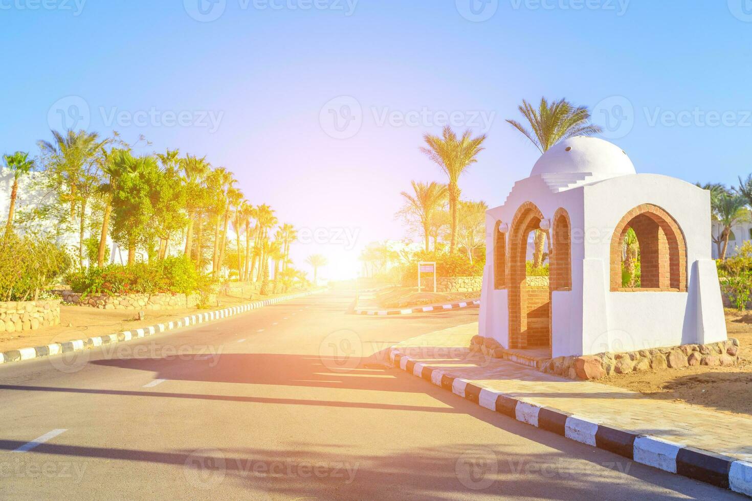 das Aussicht zu Straße und Palme Bäume in der Nähe von das Hotels foto