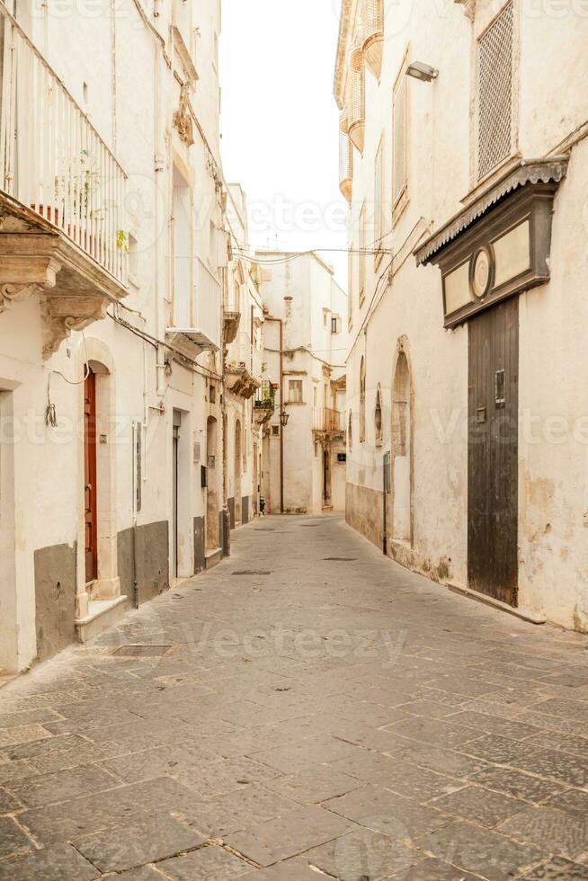 Aussicht von das alt Stadt, Dorf von Martina Franca mit ein schön Häuser gemalt im Weiß. foto