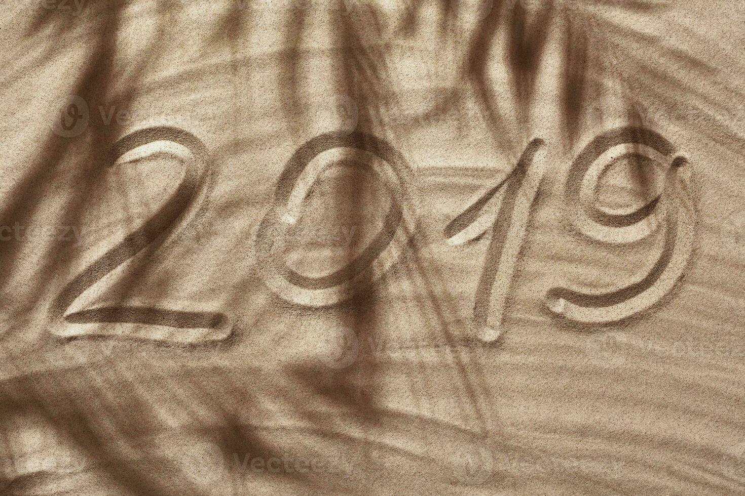 Sommer- Konzept mit ein Schatten von ein tropisch Palme Baum Blätter, Copyspace auf ein Weiß Strand Sand. foto