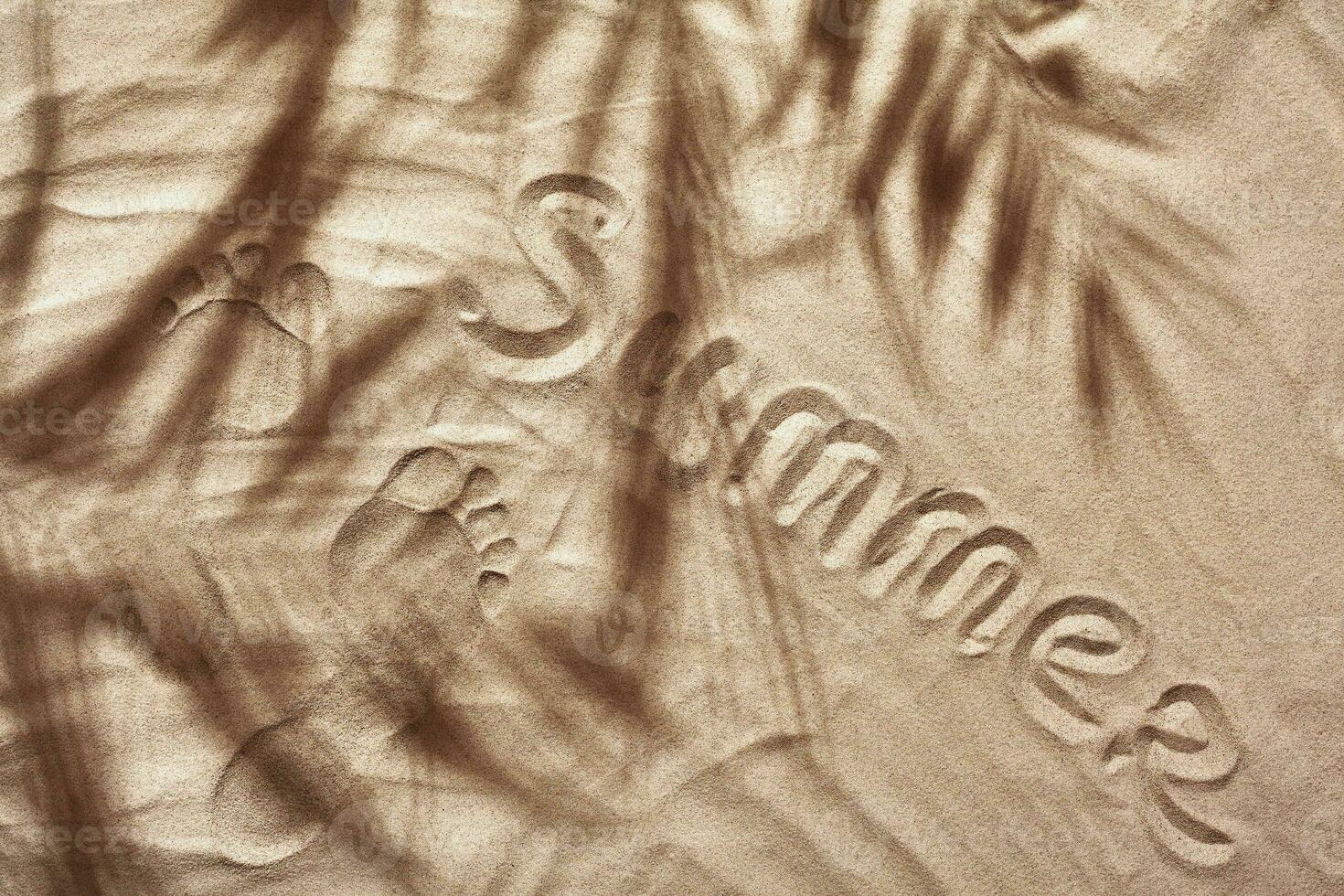Sommer- Konzept mit ein Schatten von ein tropisch Palme Baum Blätter, Copyspace und Inschrift. foto