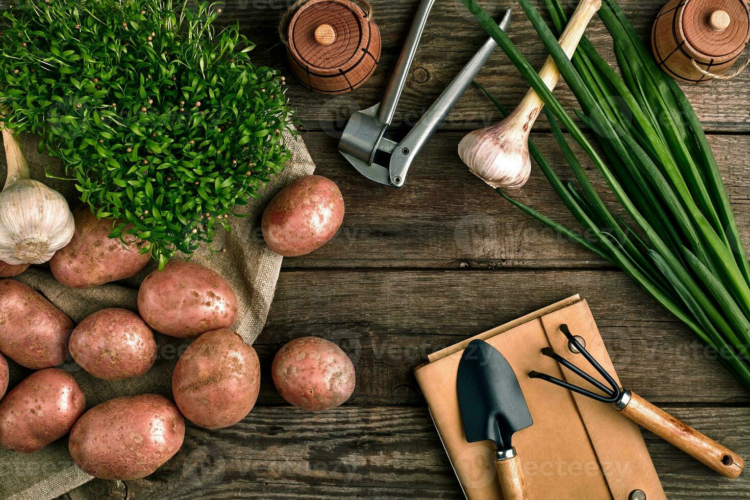 Gartenarbeit Werkzeuge und frisch Gemüse Über hölzern Hintergrund foto