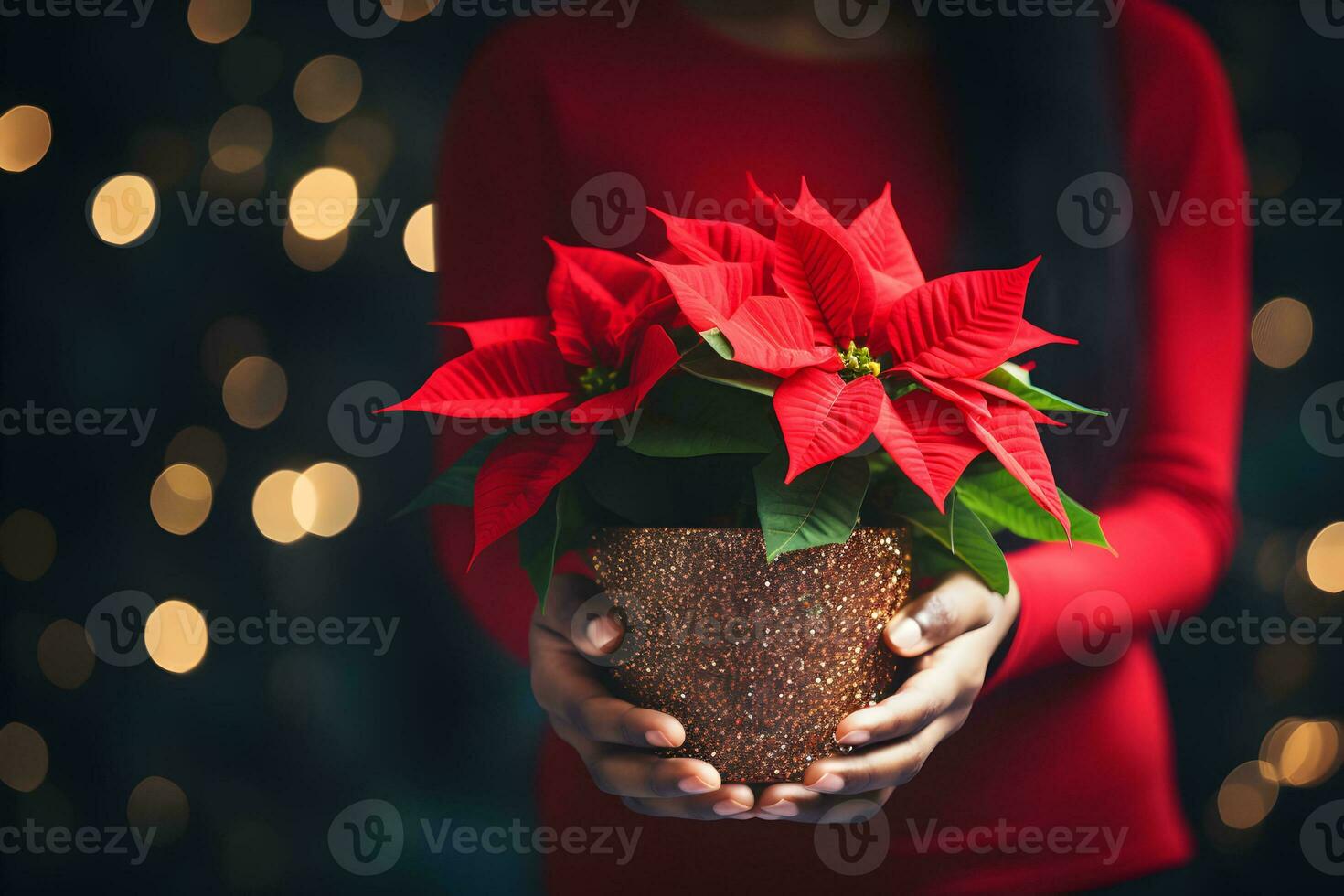 Weihnachten Weihnachtsstern Blumen Dekoration im das Hände von jung Frau auf funkelnd Hintergrund. festlich Banner Komposition. foto