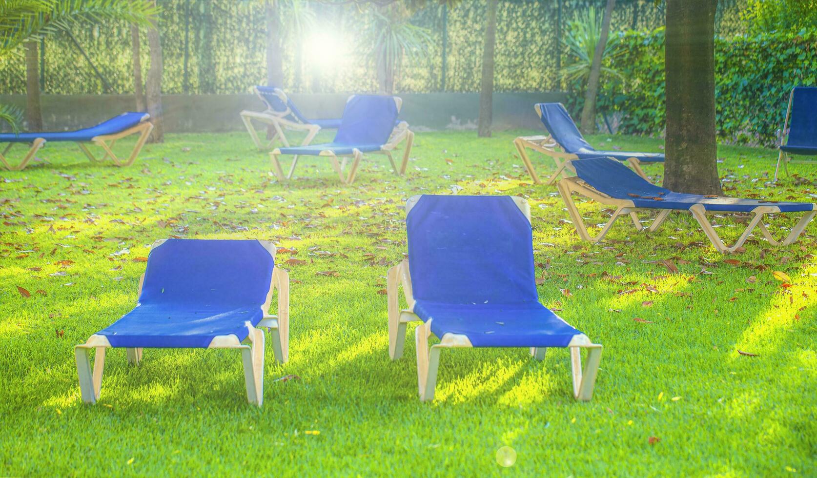 Blau Strand Stühle auf das Grün Gras auf Sanft Sonne Licht foto