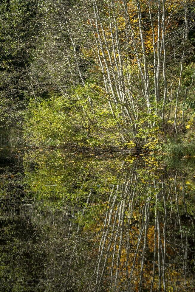 Reflexionen auf das See boedelesee foto