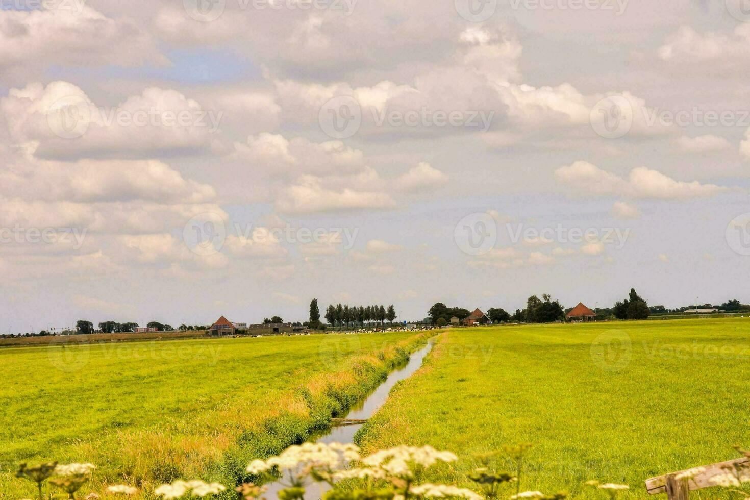 ein Feld mit ein Strom und ein Haus im das Entfernung foto