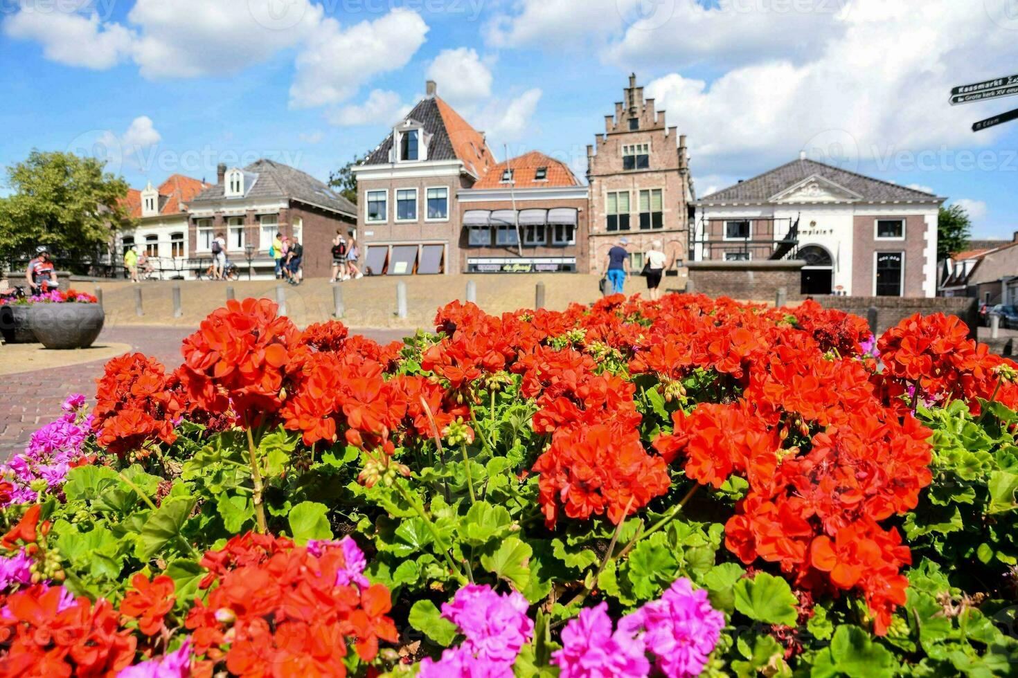 ein Blume Garten mit rot Blumen im Vorderseite von ein Stadt, Dorf foto
