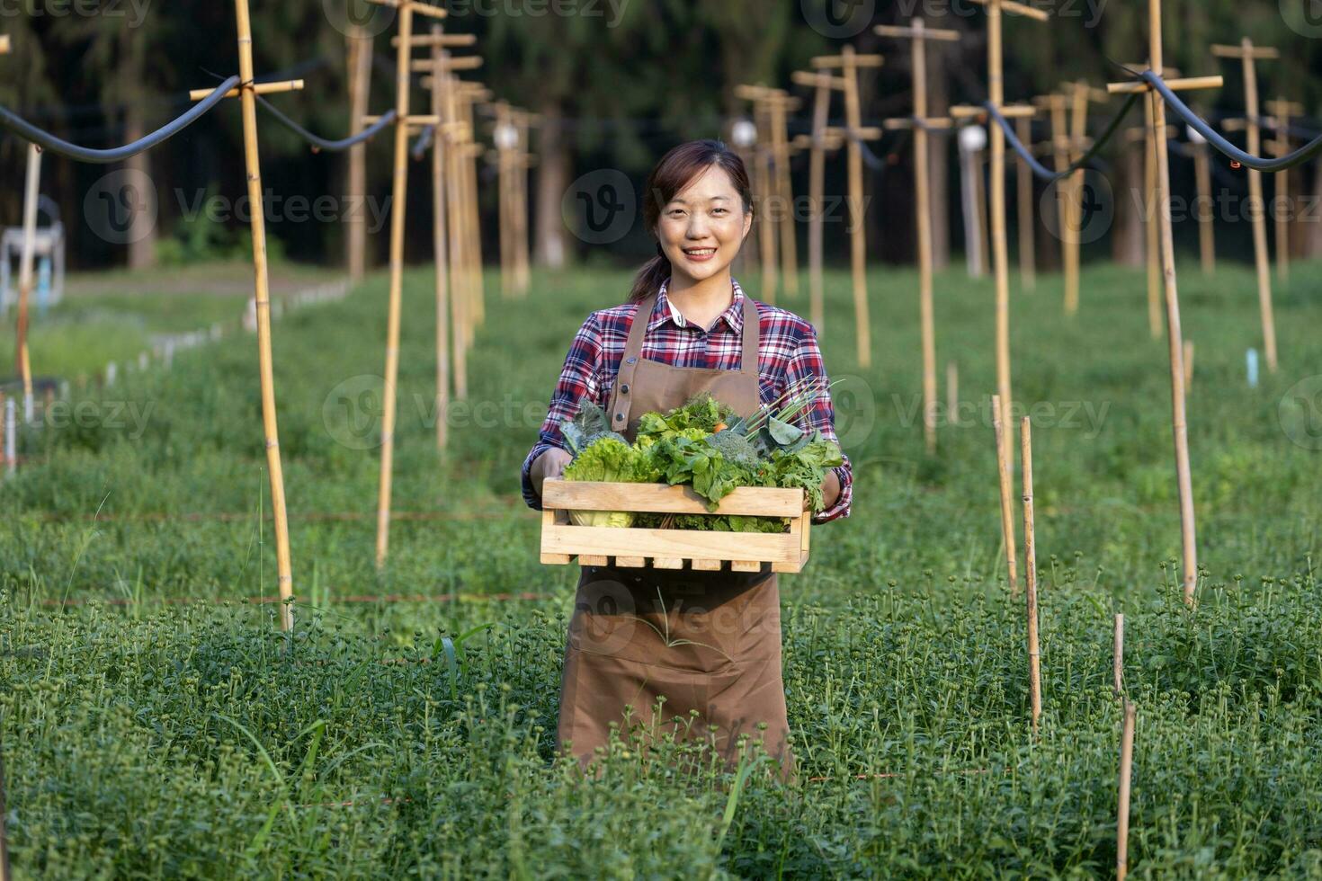 asiatisch Frau Farmer ist Tragen hölzern Tablett voll von frisch wählen Bio Gemüse im ihr Garten zum Ernte Jahreszeit und gesund Diät Essen foto