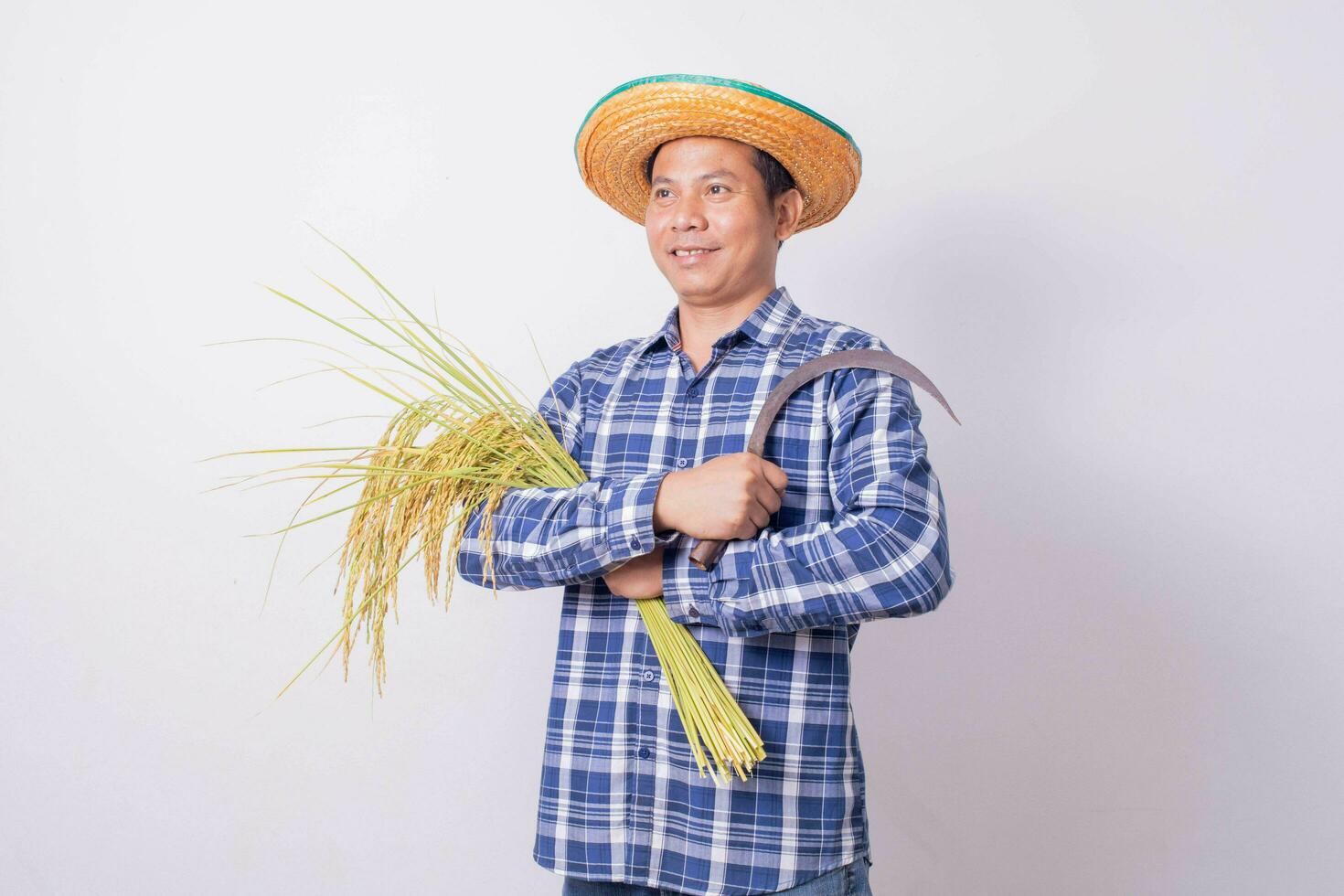 asiatisch Farmer im ein gestreift Hemd halten ein Sichel und Ernte Reis Körner auf ein Weiß Hintergrund. foto