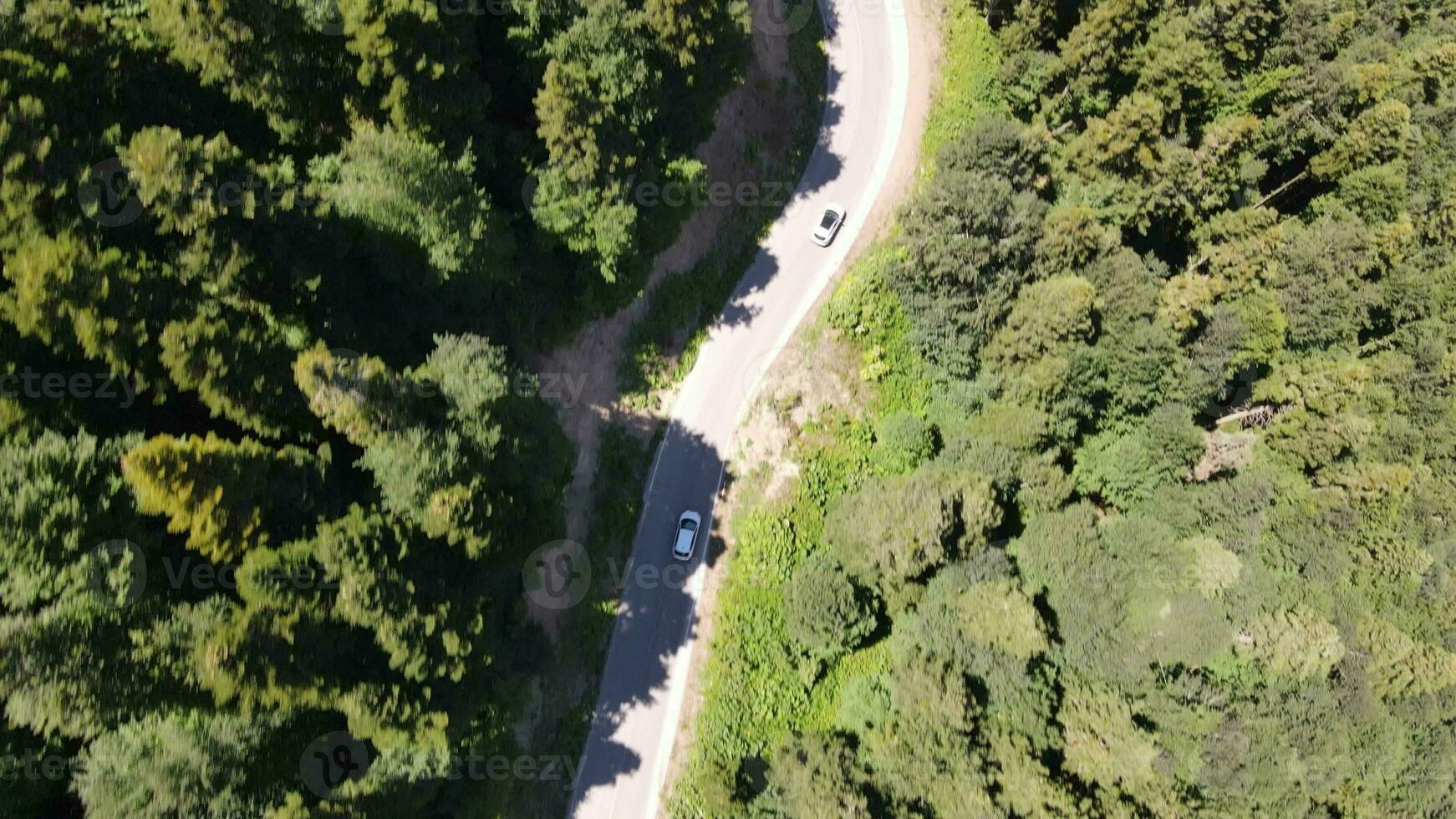 Antenne Aussicht Fahren Auto Wald foto