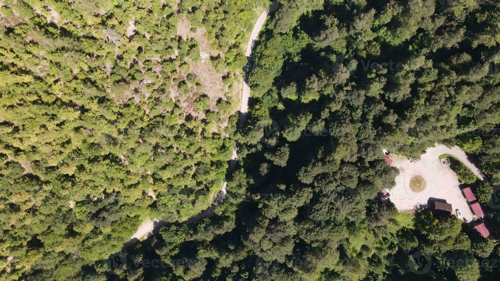 Mountian Wald Straße Fahren Antenne Aussicht foto