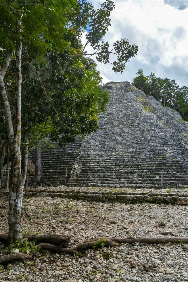 coba Maya Ruinen nohoch mul Pyramide im tropisch Urwald Mexiko. foto