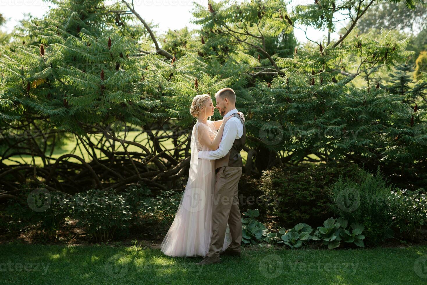 Hochzeit gehen von das Braut und Bräutigam im ein Nadelbaum im Elf Zubehör foto