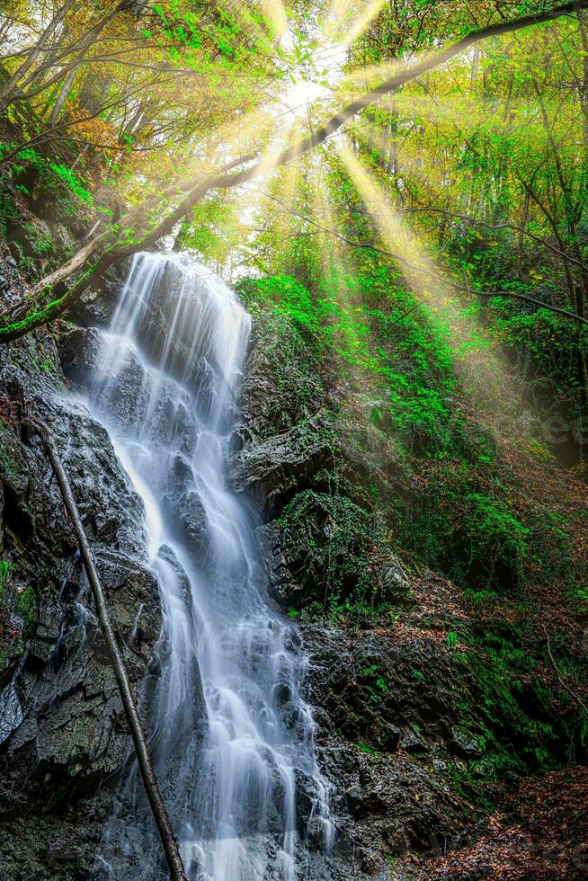 Wasser Kaskade im das Wald foto