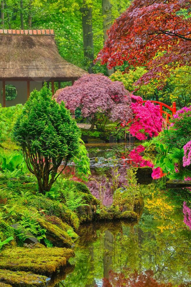 japanisch Garten, Park Clingendael, das Haag, Niederlande foto