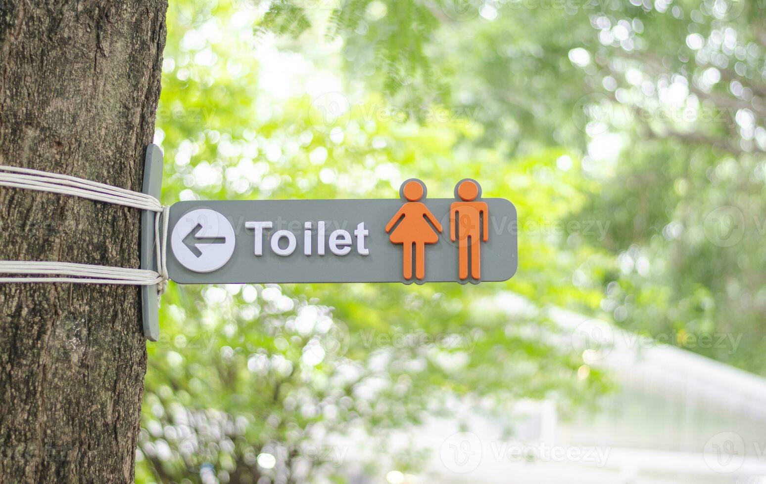 Öffentlichkeit Toilette Zeichen gebunden zu ein Baum. Idee foto