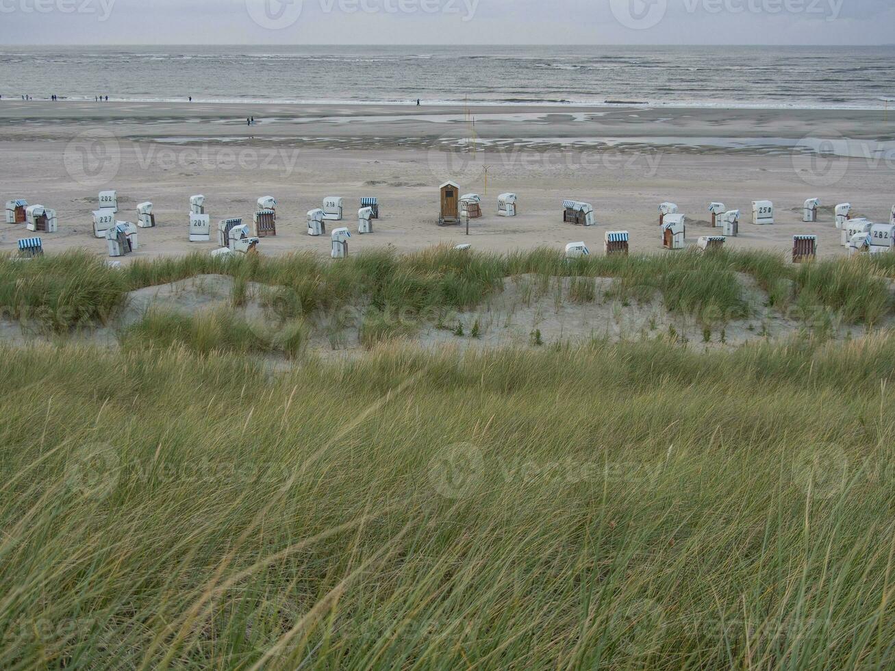 die Insel Spiekeroog foto