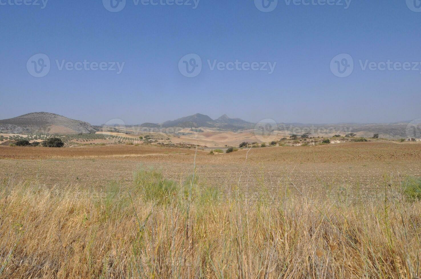 Hügel im Andalusien foto