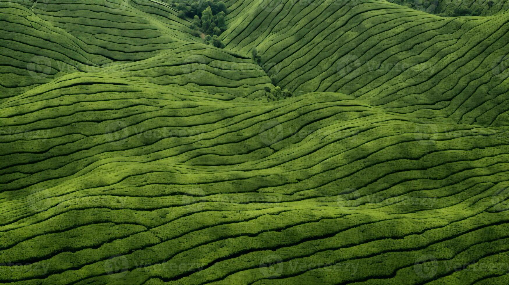 ai generiert Grün Tee Plantage, oben Aussicht Textur foto