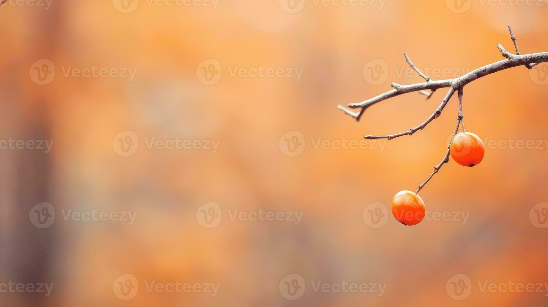 ai generiert Natur Pflanze Grün Strauß sonnendurchflutet ai generiert foto