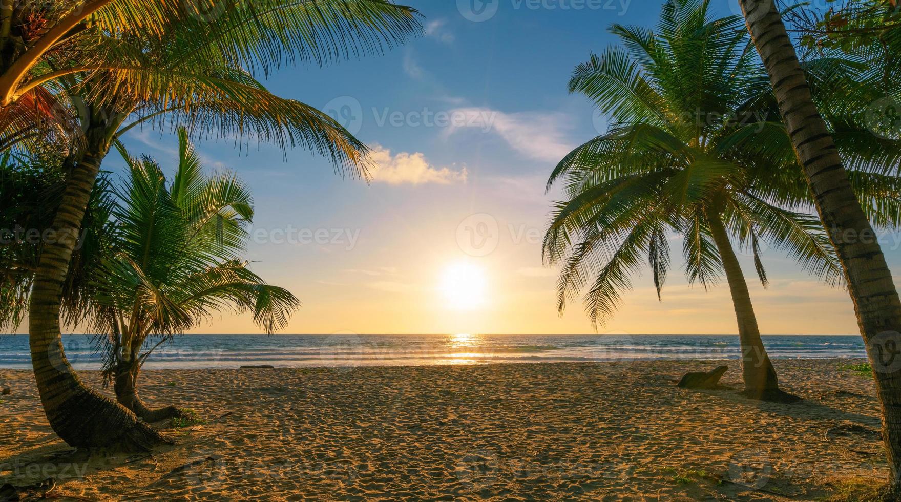 Kokospalmen am Strand Sonnenuntergang Himmel foto