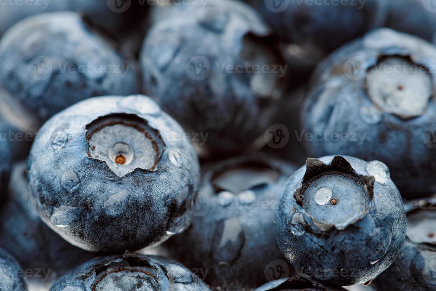 frisch gepflückte Blaubeeren, Nahaufnahme foto