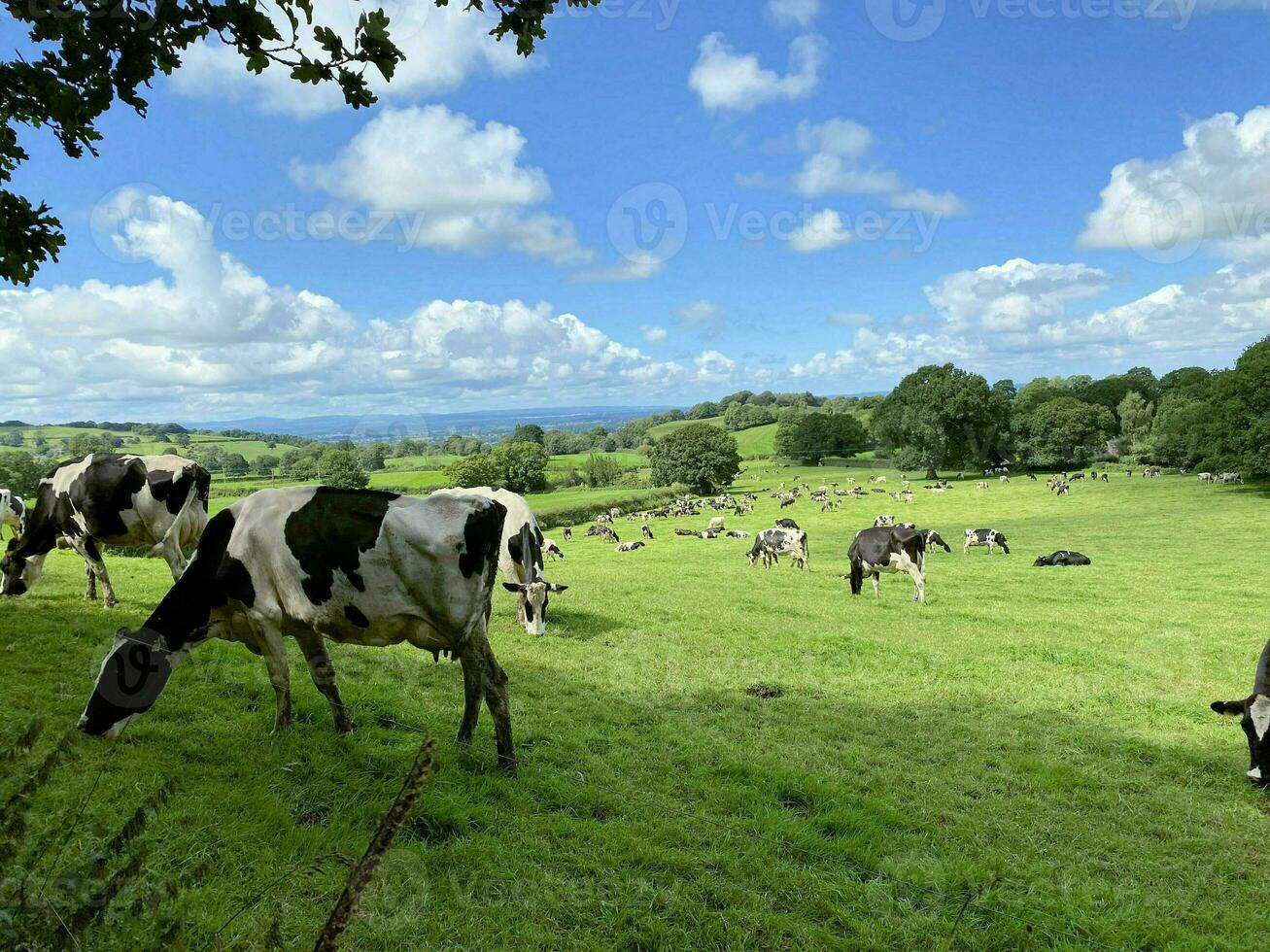 ein Blick auf die Landschaft von Cheshire in Peckforton Hills foto